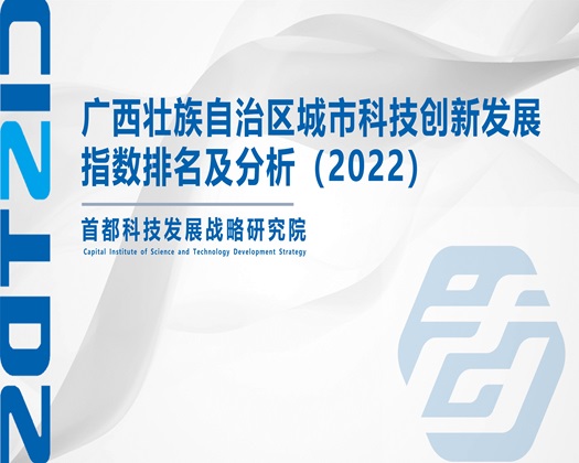 插逼高潮【成果发布】广西壮族自治区城市科技创新发展指数排名及分析（2022）